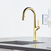 Pull Down Single Hole Kitchen Faucet